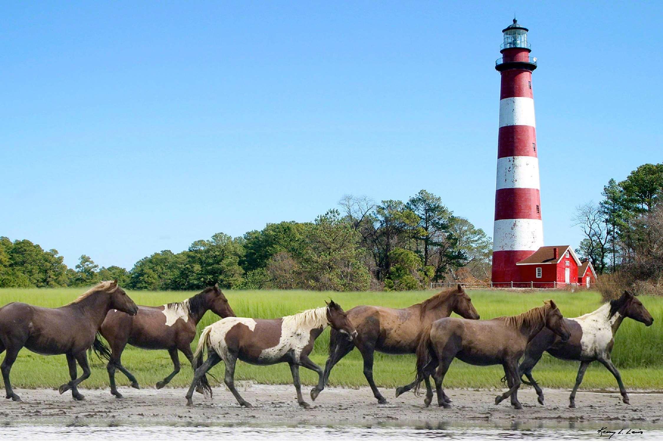 Hampton Inn & Suites Chincoteague-Waterfront, Va Buitenkant foto