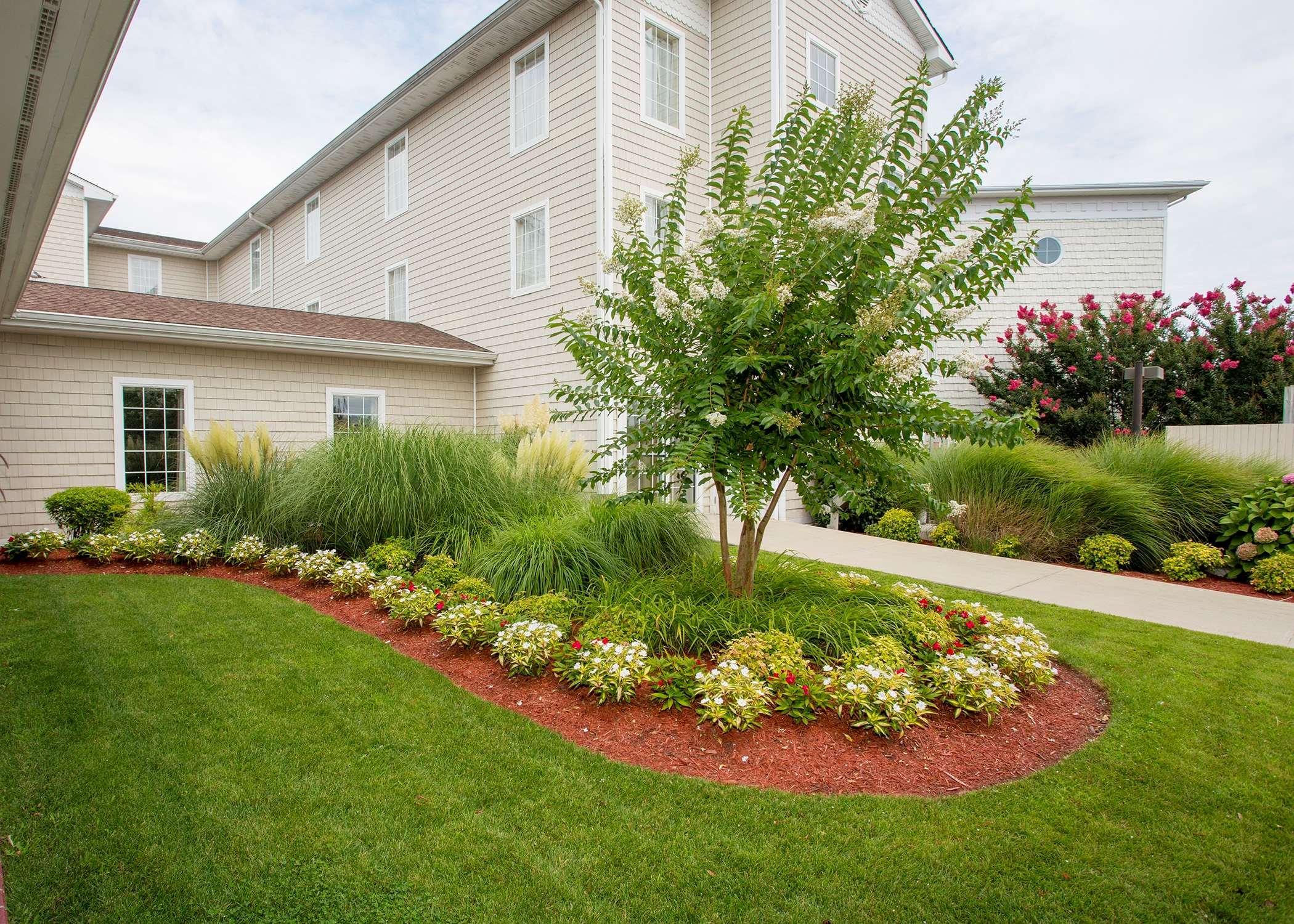 Hampton Inn & Suites Chincoteague-Waterfront, Va Buitenkant foto